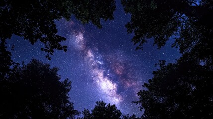 Fototapeta premium Stunning View of Milky Way Above Dark Trees in Night Sky