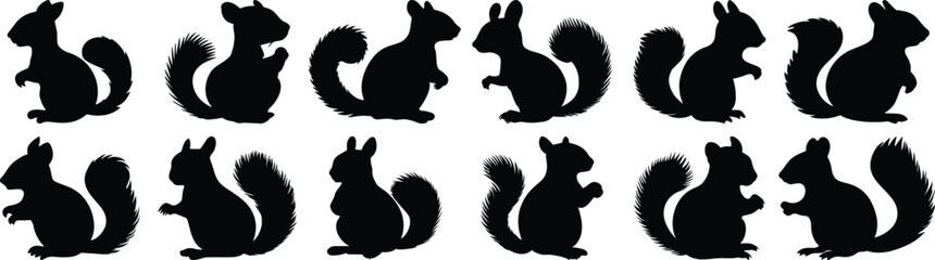 Squirrel silhouette set vector design big pack of animal illustration and icon