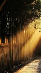 Bamboo wall with shadow on the floor