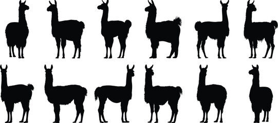 Llama silhouette set vector design big pack of alpaca illustration and icon