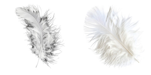 white feather isolated on a white background. Generative AI.
