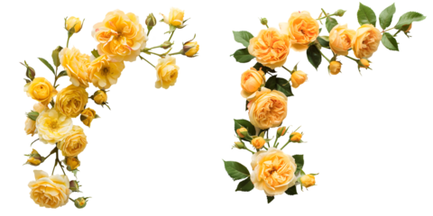 Yellow rose flowers in a corner arrangement top view. Generative AI.