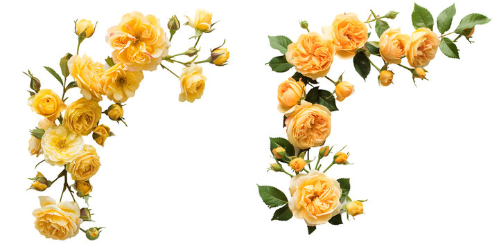 Yellow rose flowers in a corner arrangement top view. Generative AI.