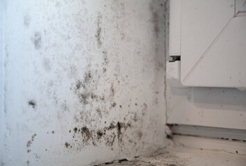 Real texture of black toxic mold on white window slope and sill