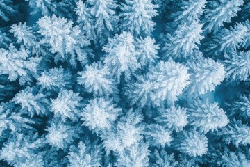 Snowy forest covered in frost creating a winter wonderland from above