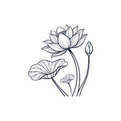 Hand drawn lotus flower and leaves  
