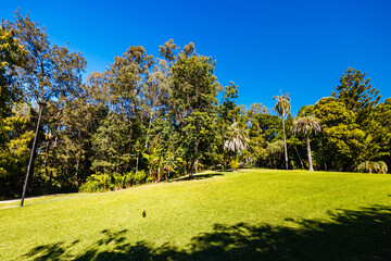 City Botanic Gardens in Brisbane Australia