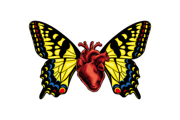 colored illustration of heart having butterfly wings
