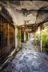 Fototapety na wymiar - Fototapeta24.pl