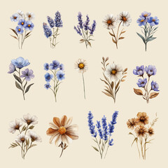 Aesthetic Watercolor Flower Clipart Perfect for Wedding Card Element