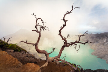 Mount Ijen Volcano on Java in Indonesia © Lukas