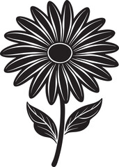 Fototapeta premium Isolated daisy line art floral clipart silhouette 