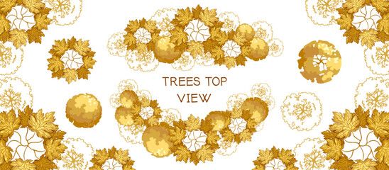 Group of autumnal trees for architectural floor plans. Trees and benches for architectural floor plans. Entourage design for the landscape design plan. Vector illustration.