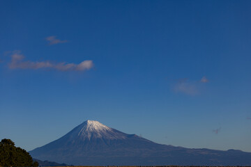 三保松原からの富士山