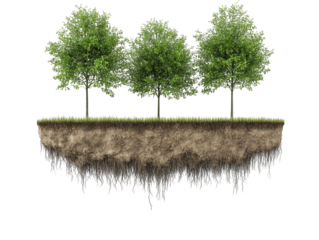 Serene island escape, three trees on a small create tranquil and picturesque landscape