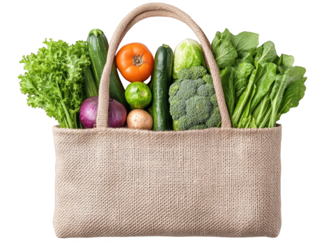 Rhythmic soundscape, a vibrant sonic journey through energetic beats and pulsating waves