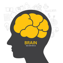 Infographics vector brain design. vector illustration.