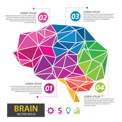Fototapeta premium Infographics vector brain design. vector illustration.