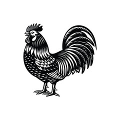 rooster vector art