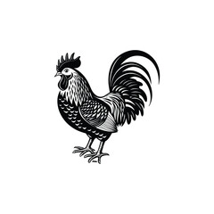 rooster vector art