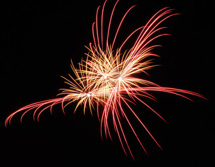 Aerial Shell Red and Gold Fireworks Burst Black Sky