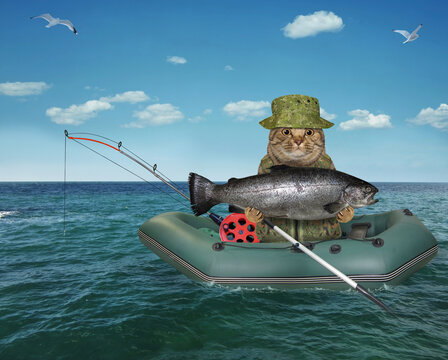Cat caught fish from inflatable boat