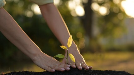 Business Growth Through Sustainable Green Practices Nurturing Nature for a Better Future Outdoor...