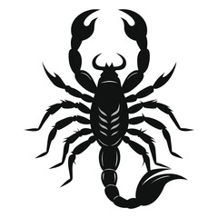 Scorpion Silhouette Vector Illustration
