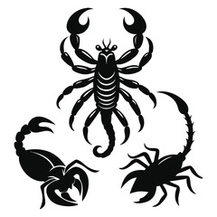 Scorpion Silhouette Vector Illustration
