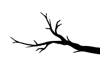 Simple tree branches isolated vector illustration on white background.
