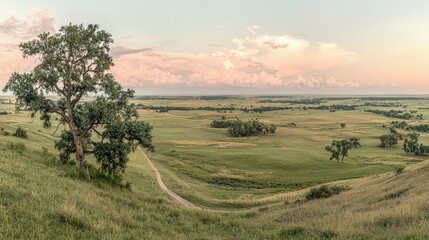 Fototapeta premium A lone tree stands on a grassy hillside overlooking a vast green valley with a winding dirt path under a soft sunset sky.