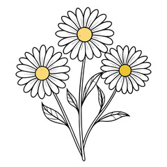 Fototapeta premium White Chamomile Flower Bouquet - Floral Vector Design, Floral Design with Leaves - Beautiful Vector Artwork