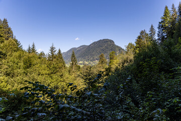 Tyrolean Gorge and Lichtensteinklamm Waterfall in the Austrian Alps