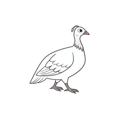  guinea hen vector art