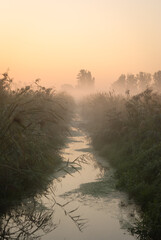 sunset on the river