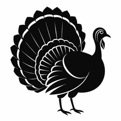 Turkey cock bird silhouette, wild turkey silhouette vector art