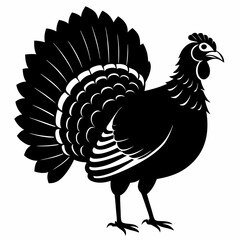 Turkey cock bird silhouette, wild turkey silhouette vector art