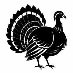 Turkey cock bird silhouette, wild turkey silhouette vector art