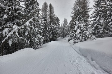 Winter Snowy Mountain Landscape