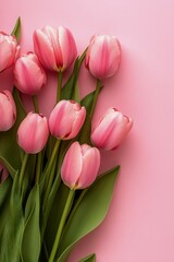 Beautiful pink tulips arranged elegantly on a soft pink background showcasing their vibrant colors and delicate