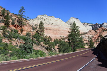 Straße im Zion Nationalpark