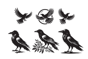 Obraz premium Crow silhouette vector illustration with white background