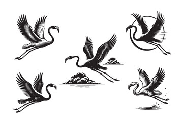 Obraz premium Flamingo silhouette vector illustration with white background