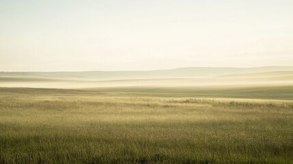 Misty morning meadow with soft gradients of beige and sage green, featuring rolling hills and tranquil grass fields wrapped in a gentle fog, evoking peace and connection to nature.