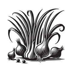 Scallion Silhouette Vector Illustration, Solid White Background.