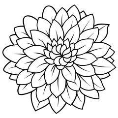 illustration of a flower