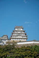 日本の兵庫県にある姫路城と青空