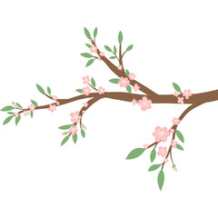 Flowering tree branch, isolated on white background. Vector illustration spring clip art in flat style. Cherry blossom spring flower of Japan, branch of blossoming sakura with pink flowers.