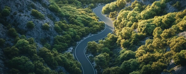 Personal Inspiration perspective concept. A winding road through lush green hills at sunrise.