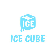 Ice cube logo design template.